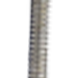 Espárragos